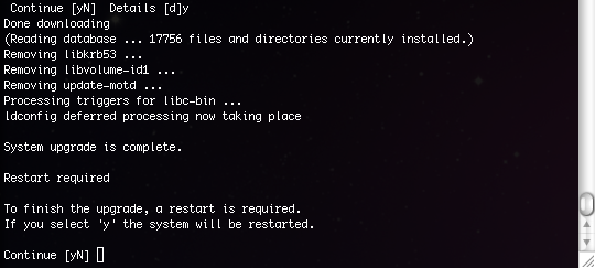 11.png