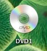 mac_rdp_disk1.png